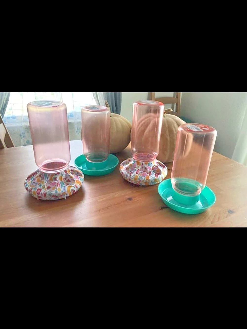 Chicken Poultry Feeder & Drinker Set Pink & Green